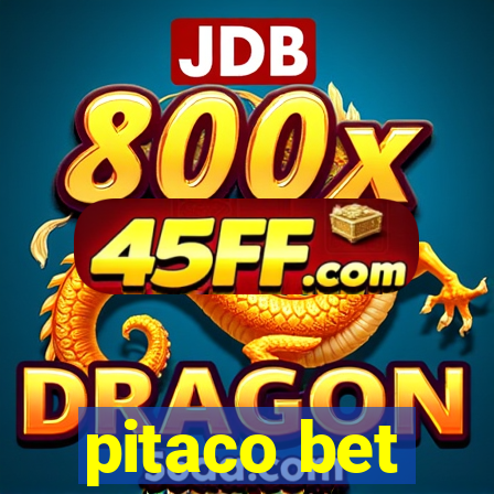 pitaco bet